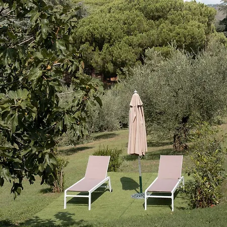Big Family In Rome Countryside * Rocca Di Papa